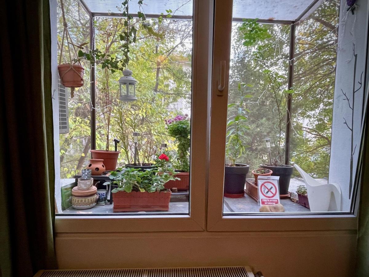 Apartment Mayahouse